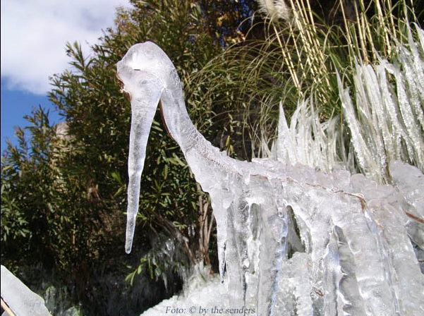 Lu�s L�pez �lvarez